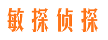 瀍河市调查取证